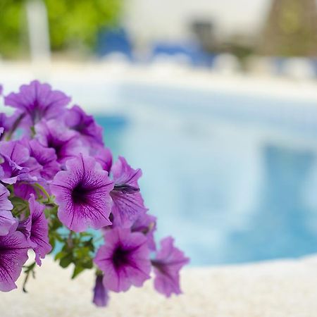 Ferienwohnung La Crisalida Retreats El Albir Exterior foto