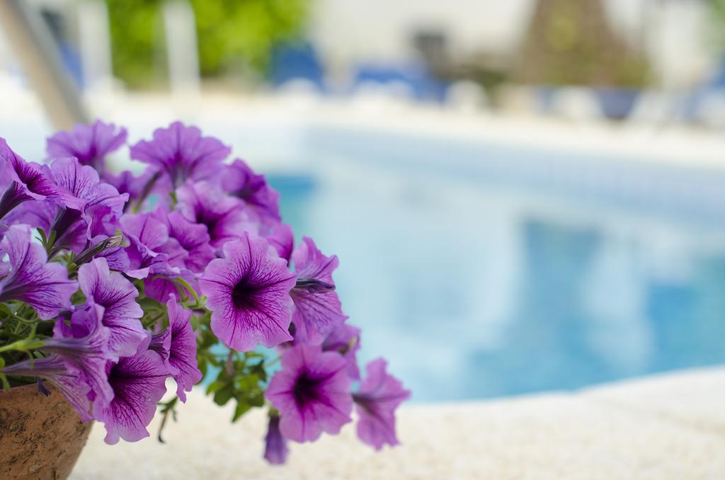 Ferienwohnung La Crisalida Retreats El Albir Exterior foto